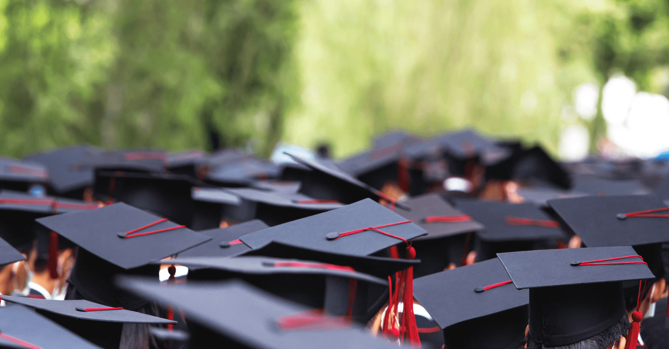 Crowd of graduates in their caps in front of trees